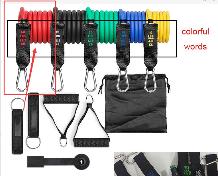 Resistance Band Set Full Body Workout & Strength Training